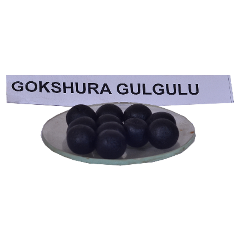 Gokshura Gulgulu - 1 no.